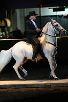 2010-11-12 Pfizer Fantasia Equine Affaire